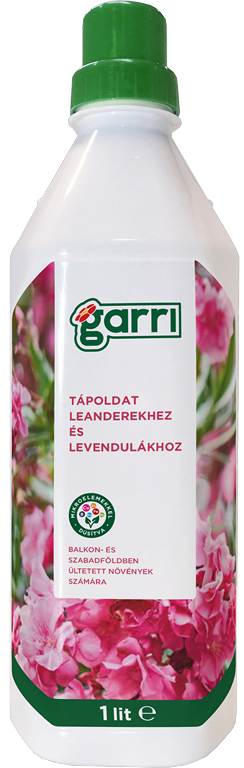 leander-tapoldat.png